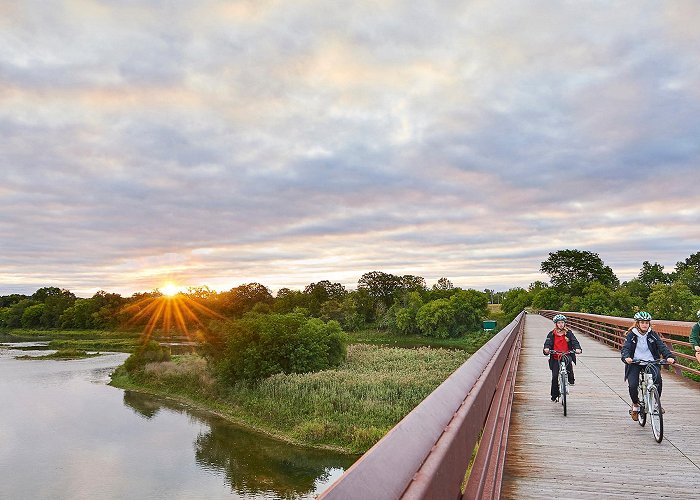 Brant Conservation Area Best Trails To Explore This Spring - Discover Brantford photo