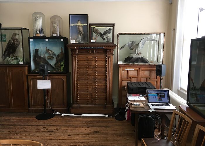 Rontgen Memorial Site Tipping Points at BEAF 2019 – ambrose seddon photo