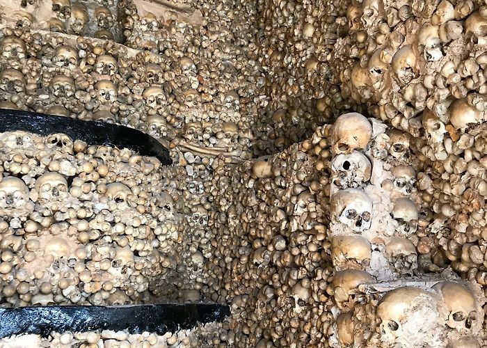 Oceânico Faldo Golf Course Things to Do in Alcantarilha in 2024 | Expedia photo