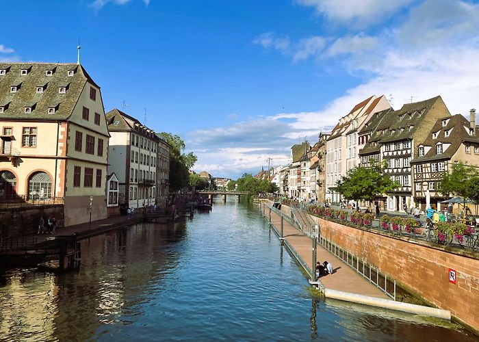 Strasbourg Zoological Museum September 2023 – The Wanderlust Diaries photo