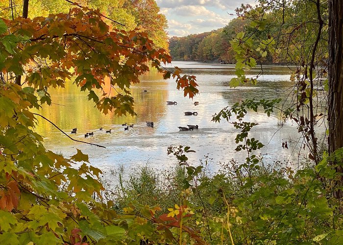 Wheatley Provincial Park Wheatley Provincial Park : r/ontario photo