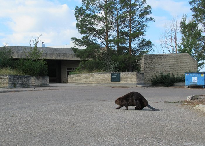 Diefenbaker Centre The Diefenbaker Canada Centre in Saskatoon is a dam fine place to ... photo