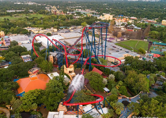 Splashdown Park SheiKra Splashdown! : r/rollercoasters photo