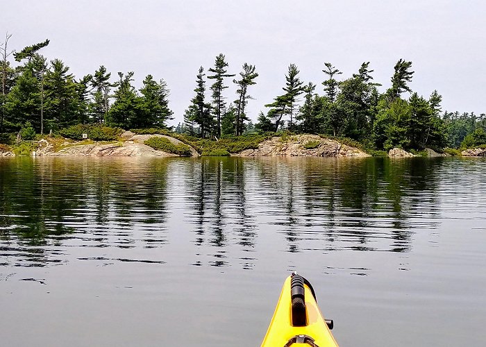 Massasauga Provincial Park Tree Tribulations at The Massasauga – eudaemonia musings photo