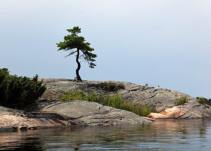 Massasauga Provincial Park Tree Tribulations at The Massasauga – eudaemonia musings photo