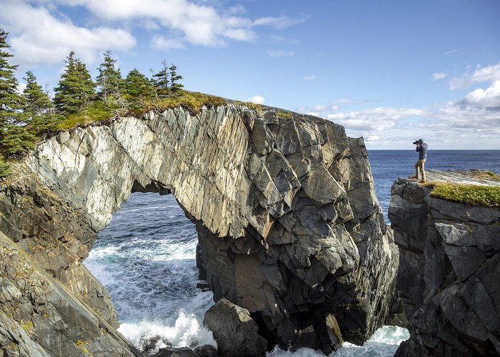 East Coast Trail Assn Self-guided hikes in Newfoundland - East Coast Trail photo