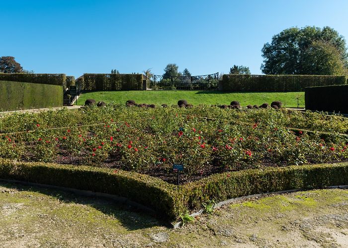 Royale Amicale Anderlecht Golf Coloma Rose Garden Tours - Book Now | Expedia photo