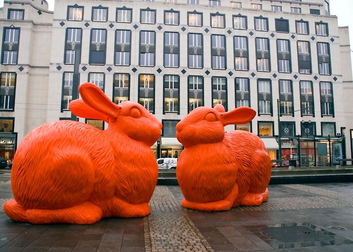 Museum of Zoology and Anthrolopology Avenue Louise Tours - Book Now | Expedia photo