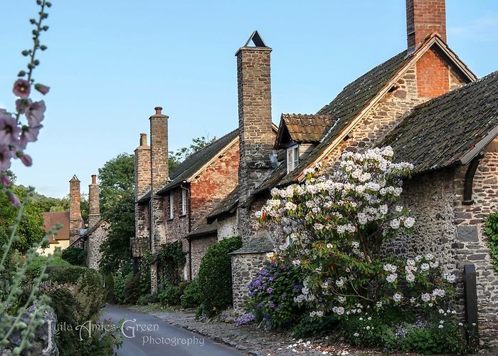 Holnicote Estate August 2016 – Exmoor 4 all photo