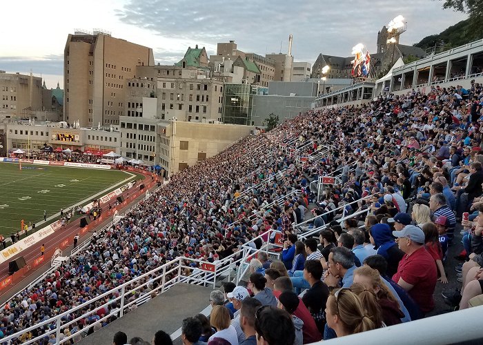 Percival Molson Stadium Molson Stadium – Stadium and Arena Visits photo