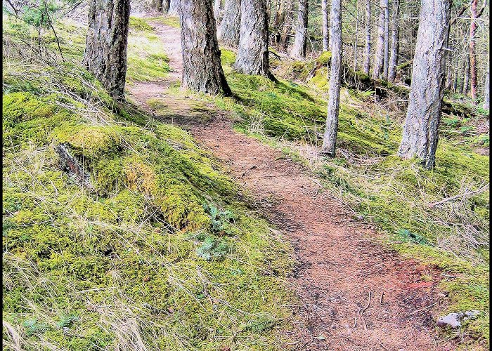 Bodega Ridge Provincial Park Bodega Ridge Hike - Kamloops Trails photo