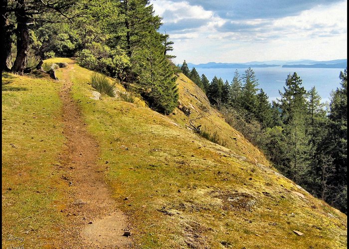 Bodega Ridge Provincial Park Bodega Ridge Hike - Kamloops Trails photo