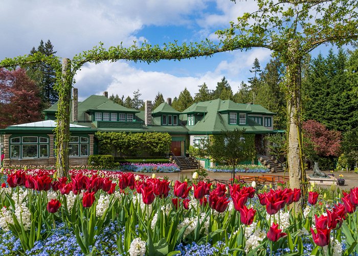 The Butchart Gardens Things to Do in Brentwood Bay in 2024 | Expedia photo