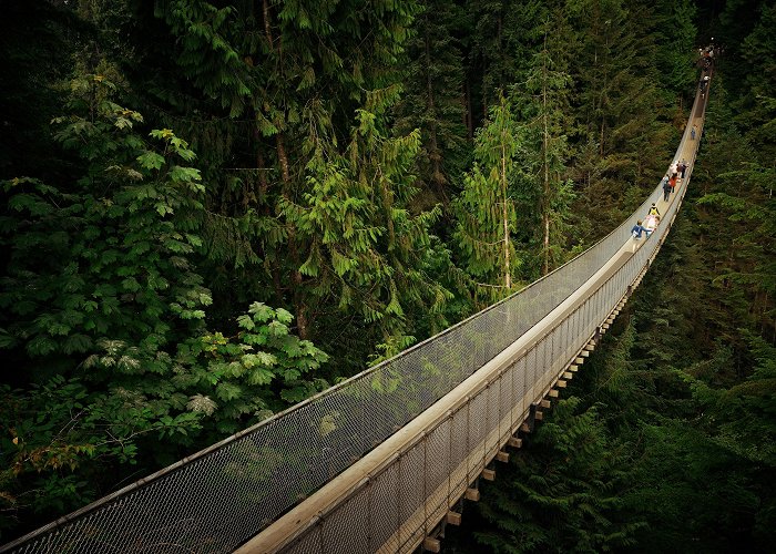 Capilano Suspension Bridge Capilano Suspension Bridge & Park — Park Review | Condé Nast Traveler photo