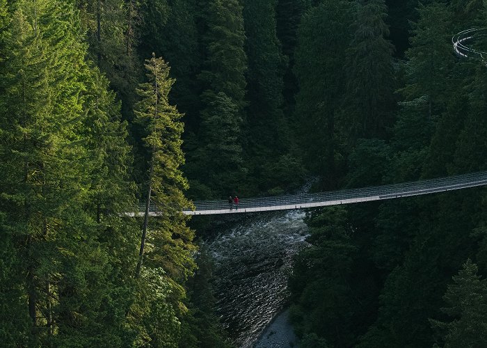 Capilano Suspension Bridge Capilano Suspension Bridge Park photo