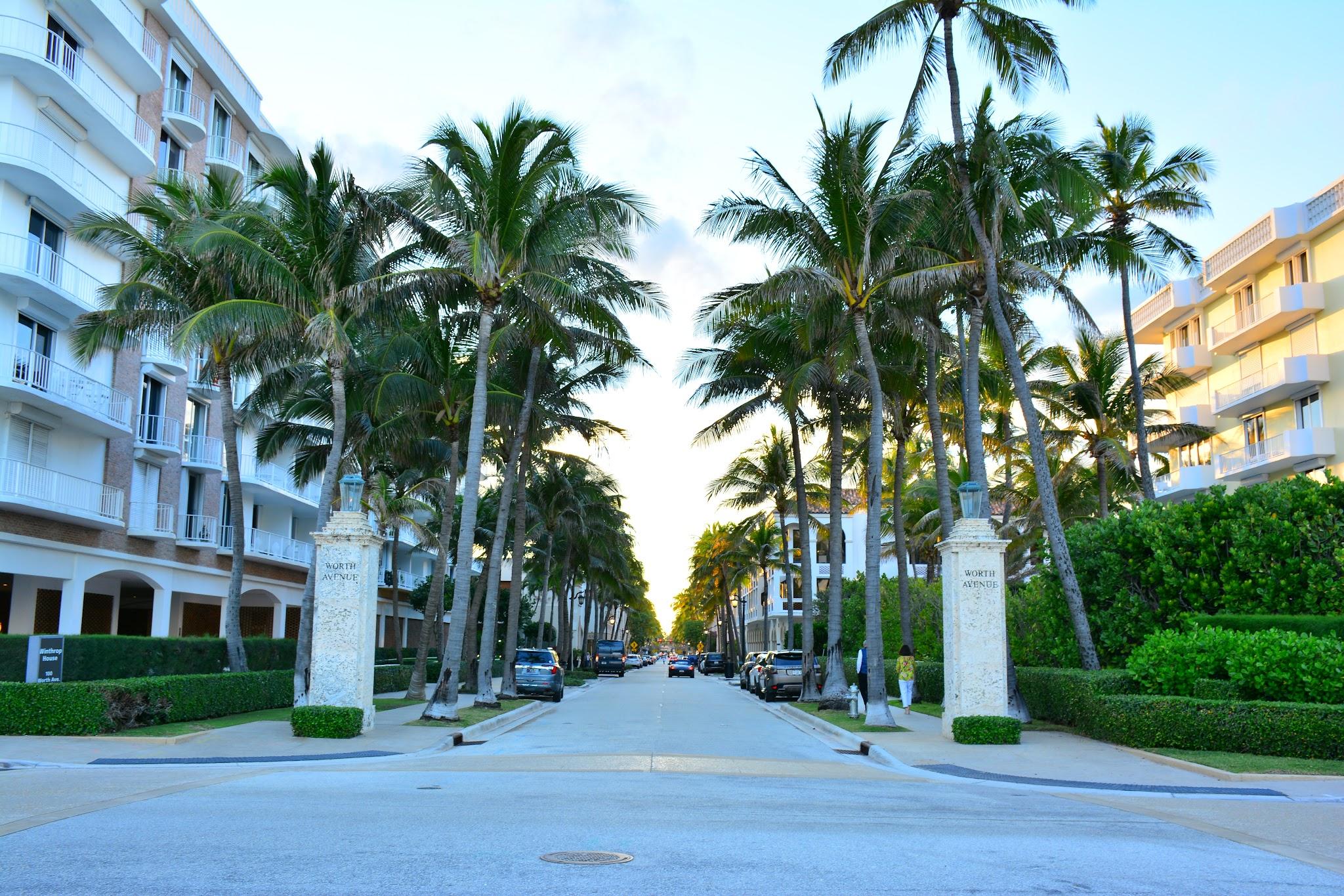 Palm Beach photo