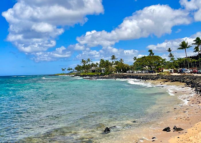 Koloa photo