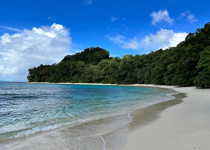 Havelock Island photo