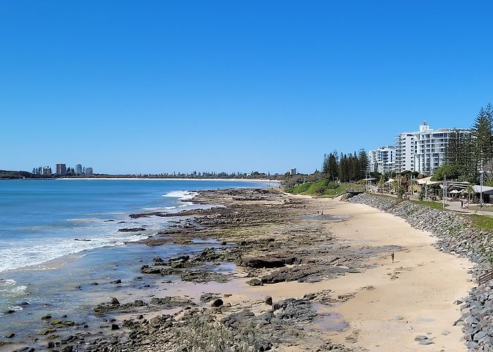 Alexandra Headland photo