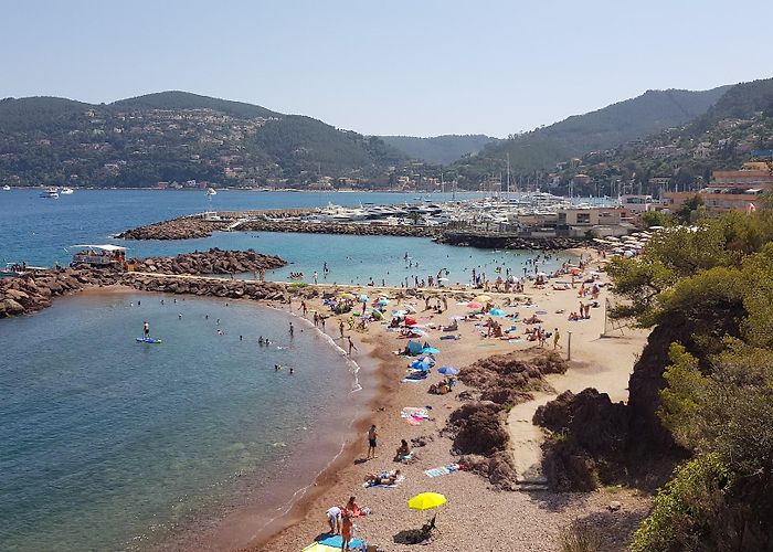 Mandelieu-la-Napoule photo