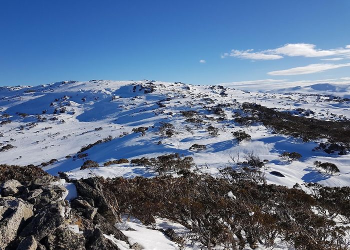 Perisher Valley photo