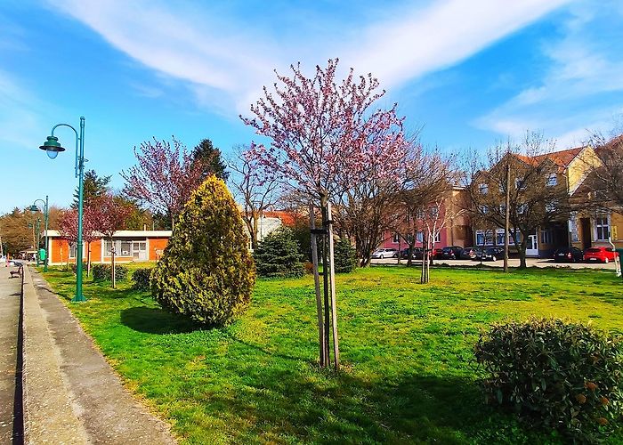 Veliko Gradiste photo