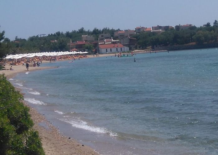 Elia Nikitis photo