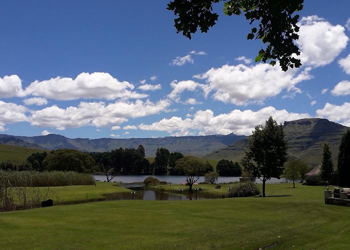 Drakensberg Garden photo