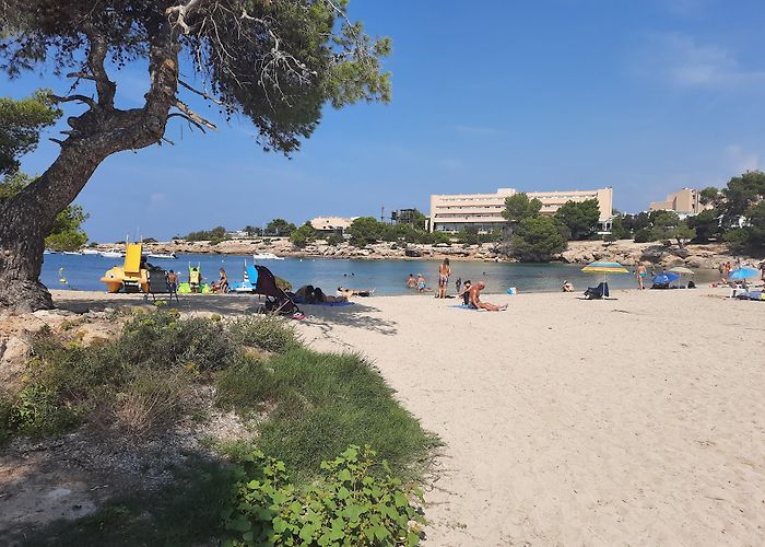 Port des Torrent photo