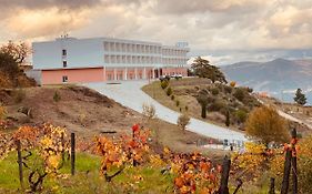 Placido Hotel Douro - タブアソ Exterior photo