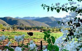 Berluda Farmhouse And Cottages オーツホーン Exterior photo