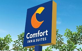 Comfort Inn & Suites テキサスシティ Exterior photo