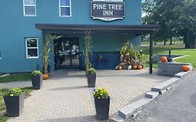 Pine Tree Inn バンゴー Exterior photo