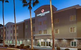 Candlewood Suites - Safety Harbor, An Ihg Hotel セーフティ・ハーバー Exterior photo