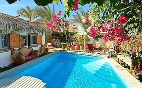 Surfers-Lounge-Dahab Lagoon With Swimming-Pool - Breakfast - Garden - Beduintent - Bbq - Jacuzziアパートメント Exterior photo