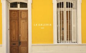 La Galeria B&B ヴァルパライソ Exterior photo