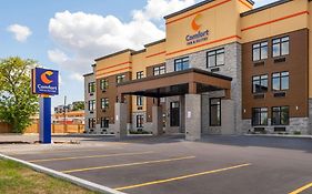 Comfort Inn & Suites キングストン Exterior photo