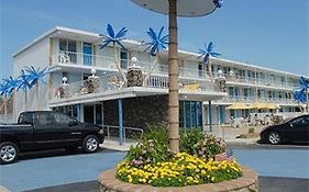 Blue Palms Resort ワイルドウッド Exterior photo