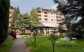 Parkhotel Am Taunus オーバーウルゼル Exterior photo