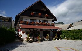 ボヒニュスカ・ビストリツァ Penzion Vila Bistrica Bed & Breakfast Exterior photo