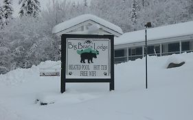Big Bears Lodge ウェスト・ドーバー Exterior photo