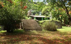 フェルナンド・デ・ノローニャ Casa Do Neyヴィラ Exterior photo