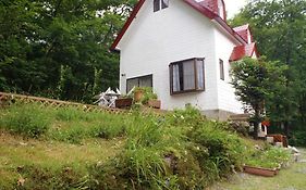 Pension & Cottage Shokubutsushi白馬村 Exterior photo