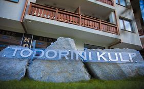 Todorini Kuli Apartments バンスコ Exterior photo