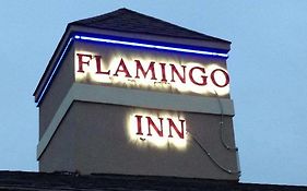 Flamingo Inn エルクシティ Exterior photo