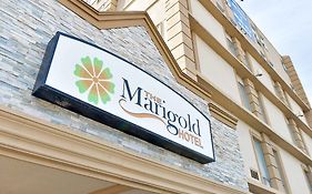 The Marigold Hotel ブランプトン Exterior photo