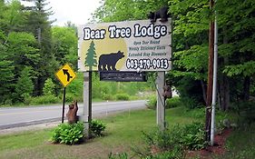 Bear Tree Lodge ウィアーズ・ビーチ Exterior photo