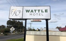 Wattle Motel セイモア Exterior photo