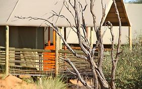 Intu Africa Suricate Tented Kalahari Lodge Intu Afrika Kalahari Game Reserve Exterior photo