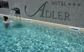 Hotel Adler アラッシオ Exterior photo
